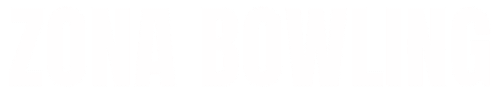 ZONA BOWLING logo